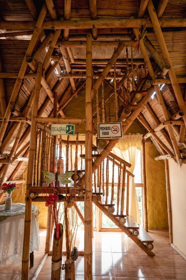 Chalet Ecoturismo La Nohelia Jericoc  Esterno foto
