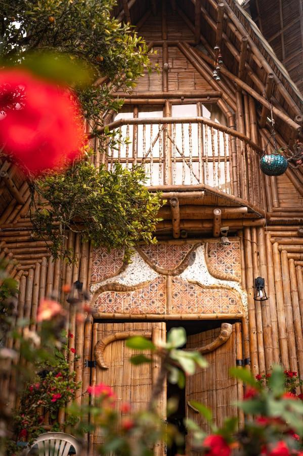 Chalet Ecoturismo La Nohelia Jericoc  Esterno foto