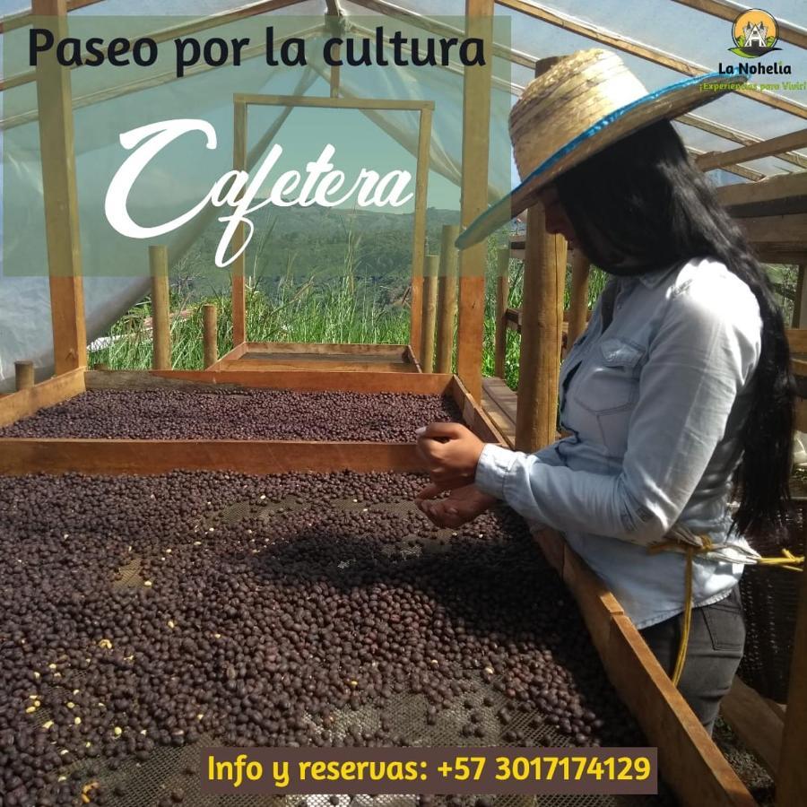 Chalet Ecoturismo La Nohelia Jericoc  Esterno foto